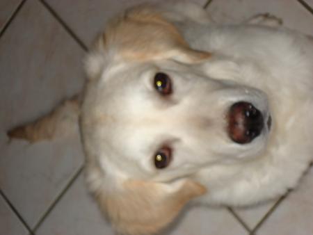 Voila, je vous ai pr�senter tout ma petite famille