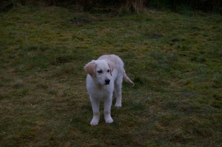 Je suis seul au monde