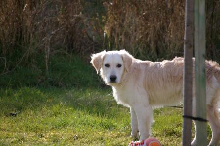 Tu es de plus en plus beau mon ZaMoUr