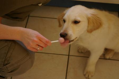 Mmmm la bonne sucette