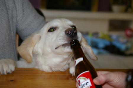 Ben quoi? Je suis un homme ;o)