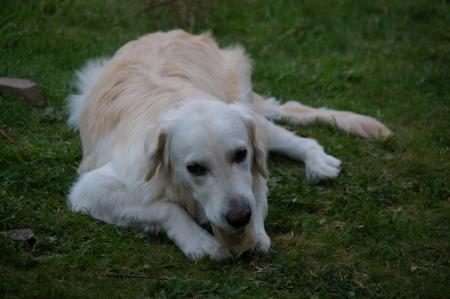 Mmmm c'est bon les bonbons