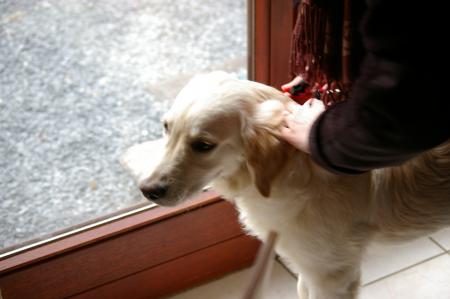 G�nial, je vais en promenade