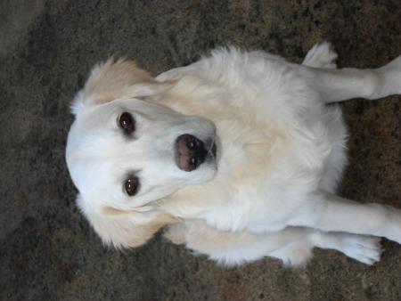 Vous me trouvez toujours aussi craquant?