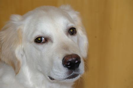 Un vrai petit mannequin