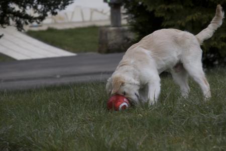 Tu es adorable mon ZaMoUr