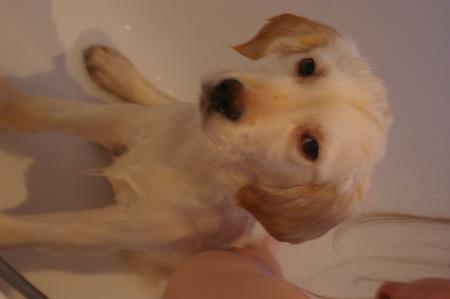 Qu'est que vous regardez?