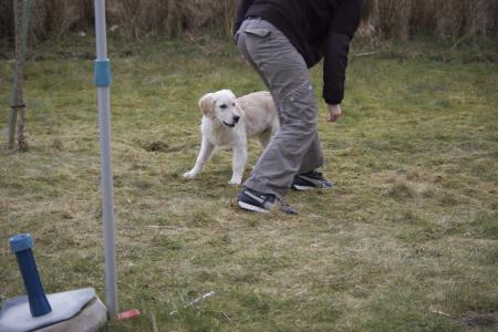 Attrape moi si tu peux...