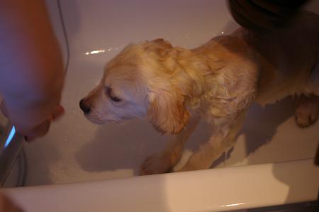 C'est sur, je deteste le bain!