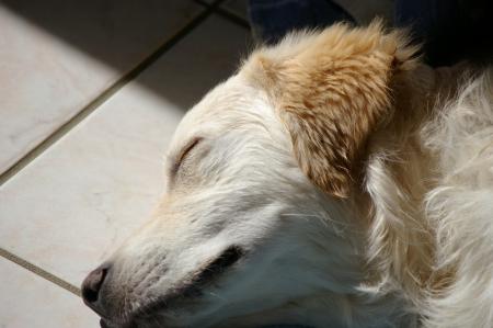 Une photo plein de tendresse