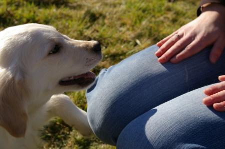 Voila ma ptite bouille