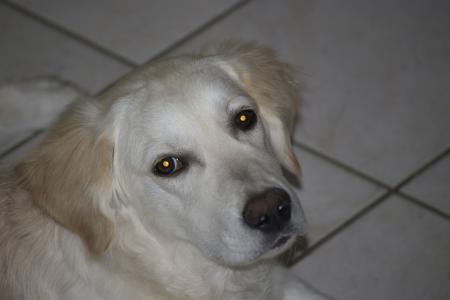 Vous me donnez quel age?