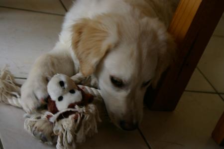 j'adore m'amuser avec mes jouets