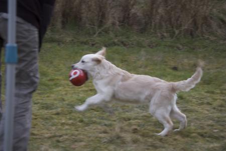 Tu peux toujours rever pour m'attraper... 