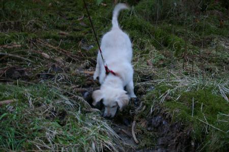 En plein d�couvert