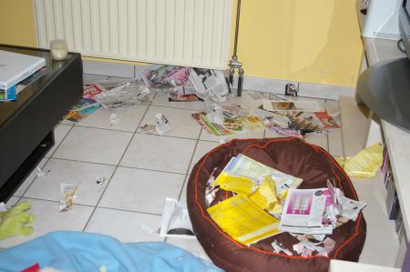 Et aussi les 1ere b�tisses