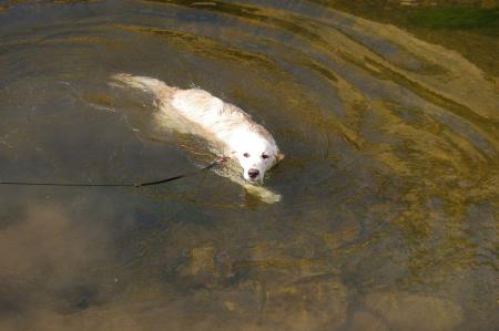 Zamour je suis fiere de toi