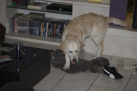 Moi faire des b�tisses? C'est bien mal me connaitre ;o)