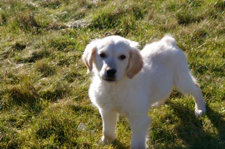 Ma toute premi�re photo