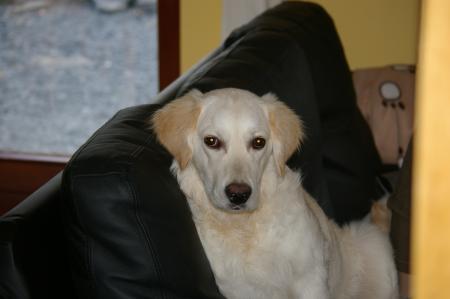 Ben quoi? je m'installe 