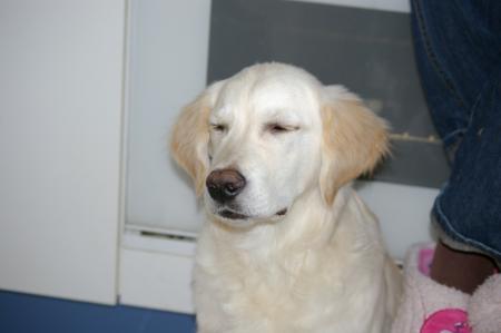 J'en ai marre des photos...