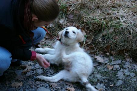 C'est g�nial mais qu'est que ca gratte ce truc