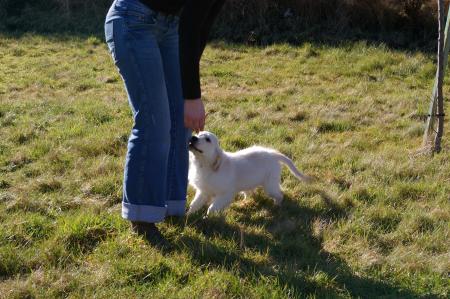 Comme j'�tais petit