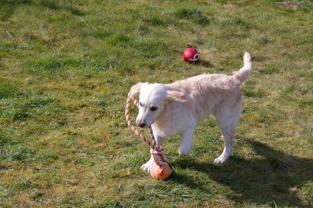 Bingo, je l ai eu ;o)