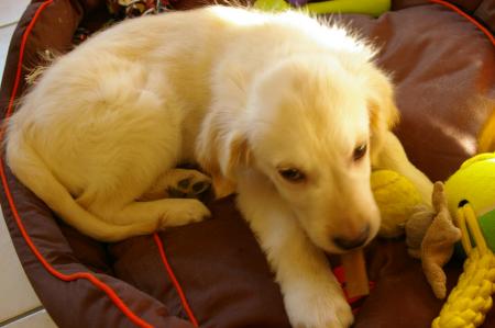 Miam mian 1 petit bonbon, Merci maman ;o)