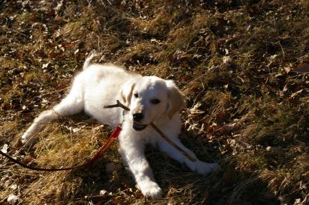 Aller on fait une petite pause?