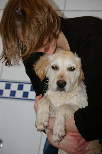 cette fois-ci , je ne serai pas le seul a etre mouiller 