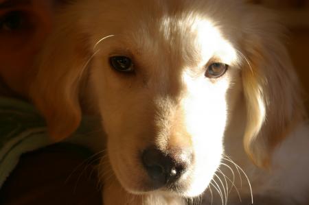 Attention les filles