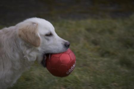 C'est moi qui a gagn� bien evidement ;o)