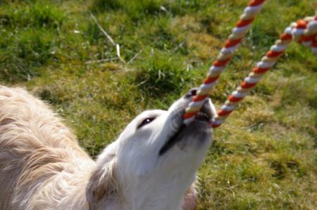 Apres une petite pause..