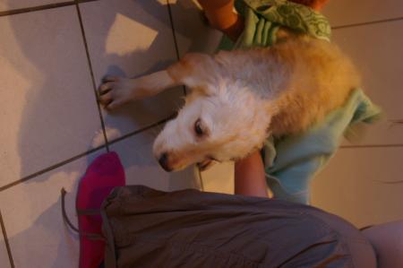 Oui maintenant vous pouvez m essuier non mais!