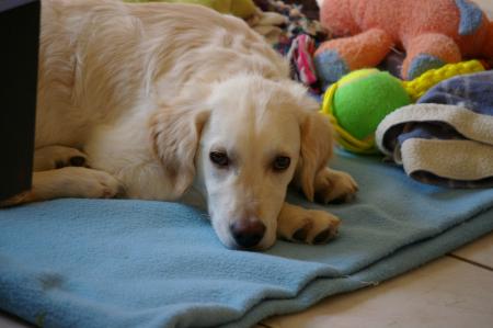 Ca fatigue d'etre un play-boy...