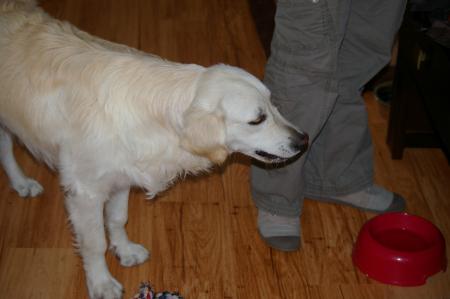 Me voil� � mon arriv� en Allemagne