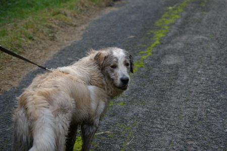 Ben alors, je vous attends, on la continue cette promenade?