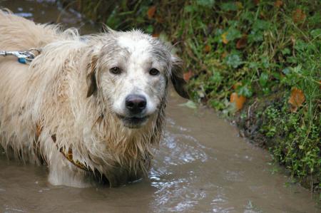 Ben quoi? Je me lave..